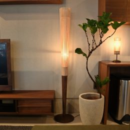 秋に向けての照明計画
