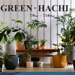 GREEN×HACHI 2022 明日より開始！