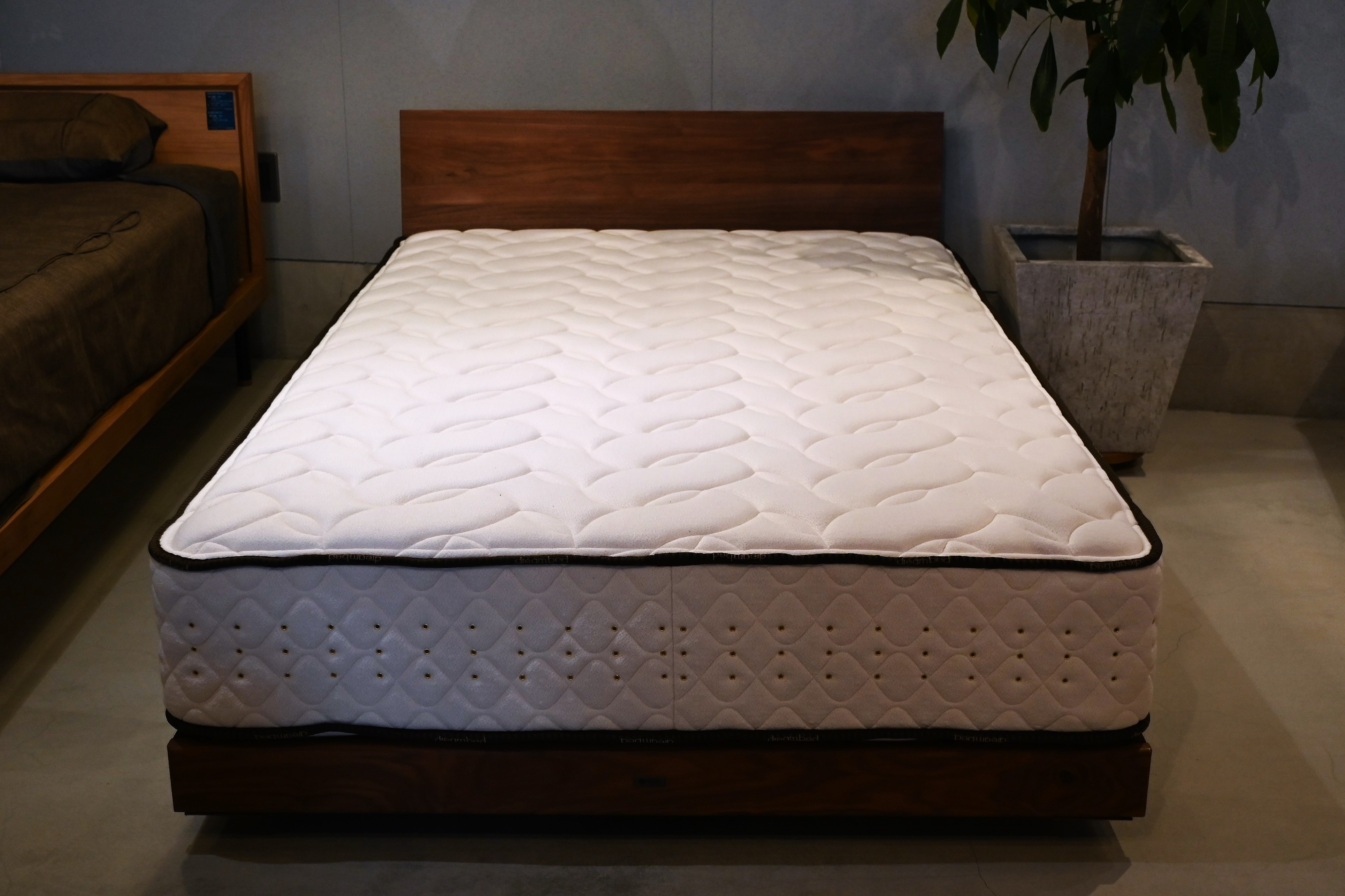 ポケットコイル界のキング