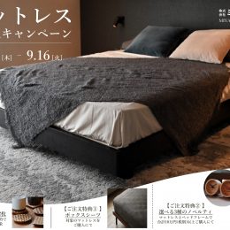 ベッドに拘る理由