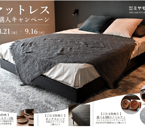 お得なキャンペーン始まる