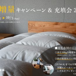 続報！羽毛増量キャンペーンのお知らせ