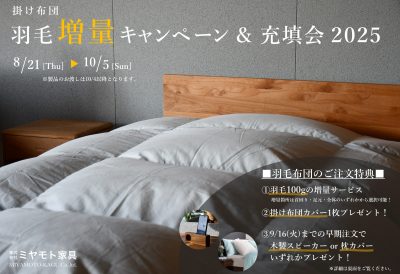 続報！羽毛増量キャンペーンのお知らせ