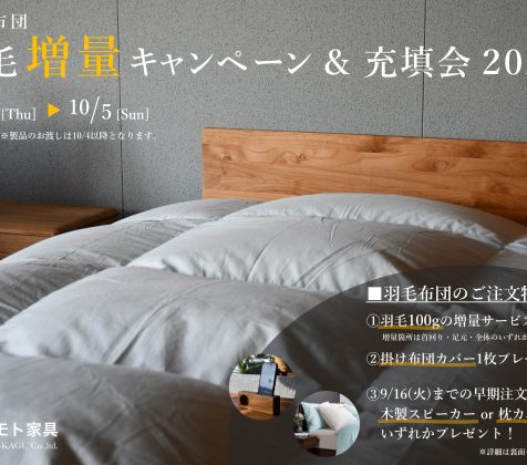 続報！羽毛増量キャンペーンのお知らせ