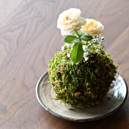 苔玉の花器