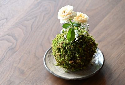 苔玉の花器