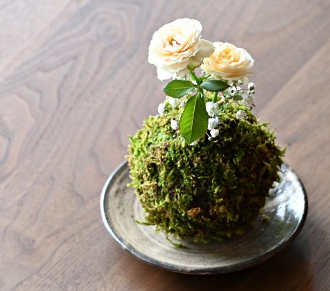 苔玉の花器