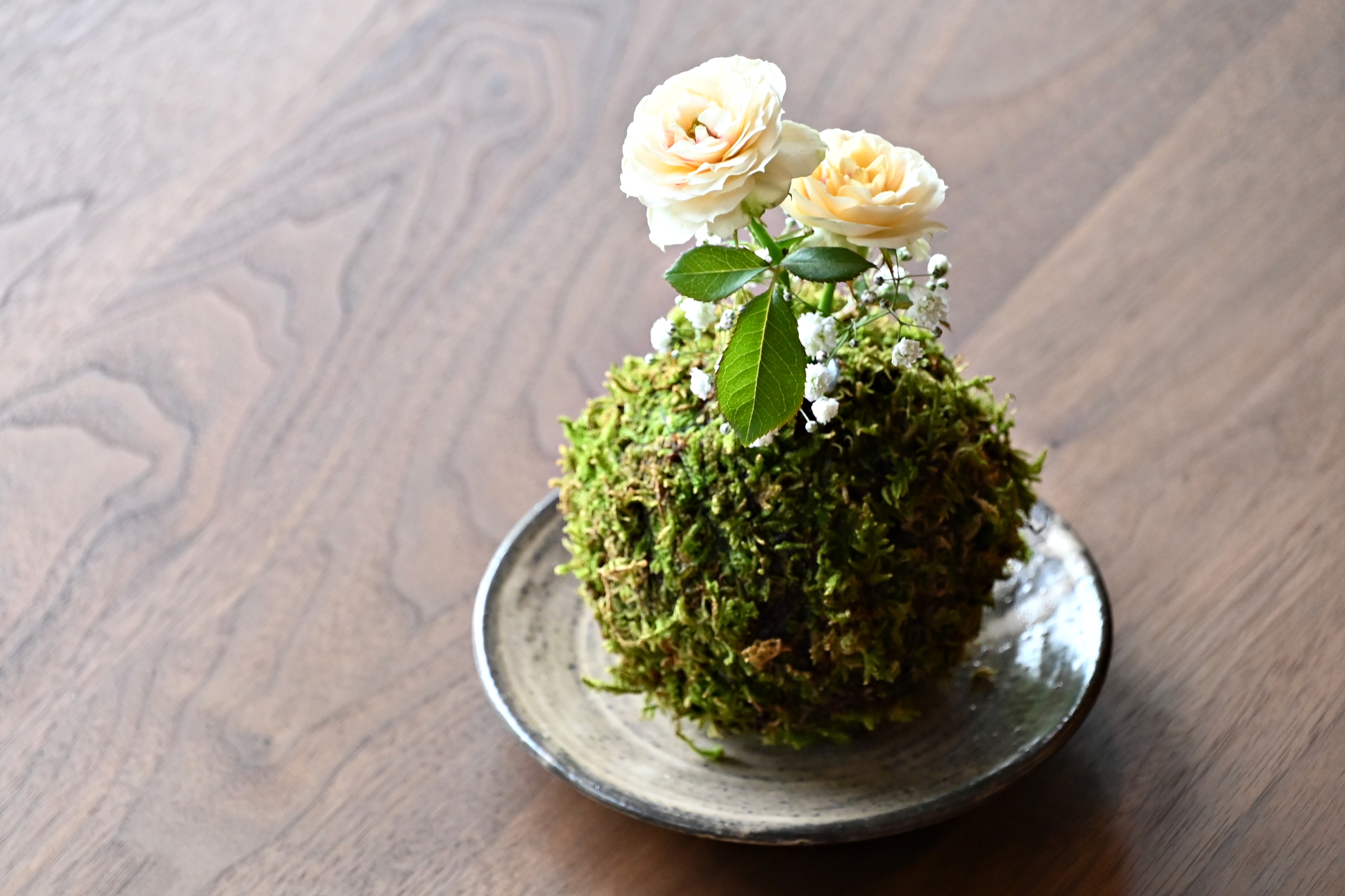 苔玉の花器
