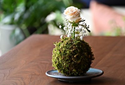 RENSEY4周年を迎えました！