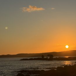 暖かくなってきたぞ～～！