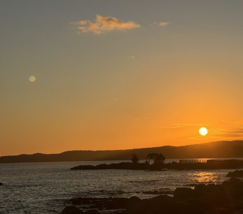 暖かくなってきたぞ～～！