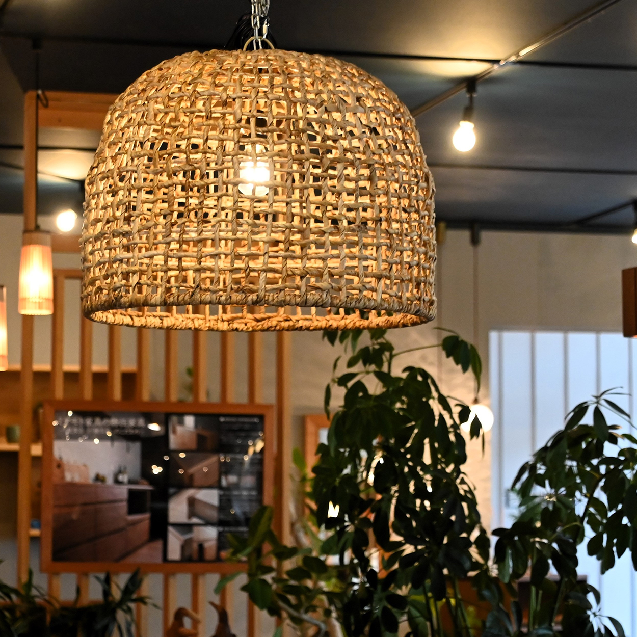 BANANA LEAF Pendant Light